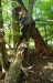 Instalace budky na kmen stromu